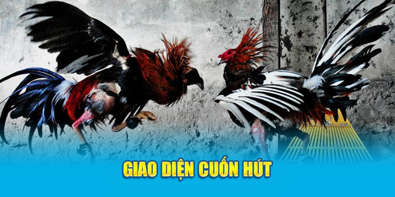 Giao diện đá gà tre trên Loto188 thân thiện cuốn hút